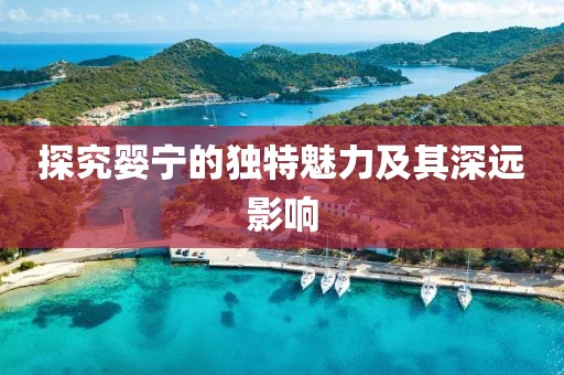 探究婴宁的独特魅力及其深远影响