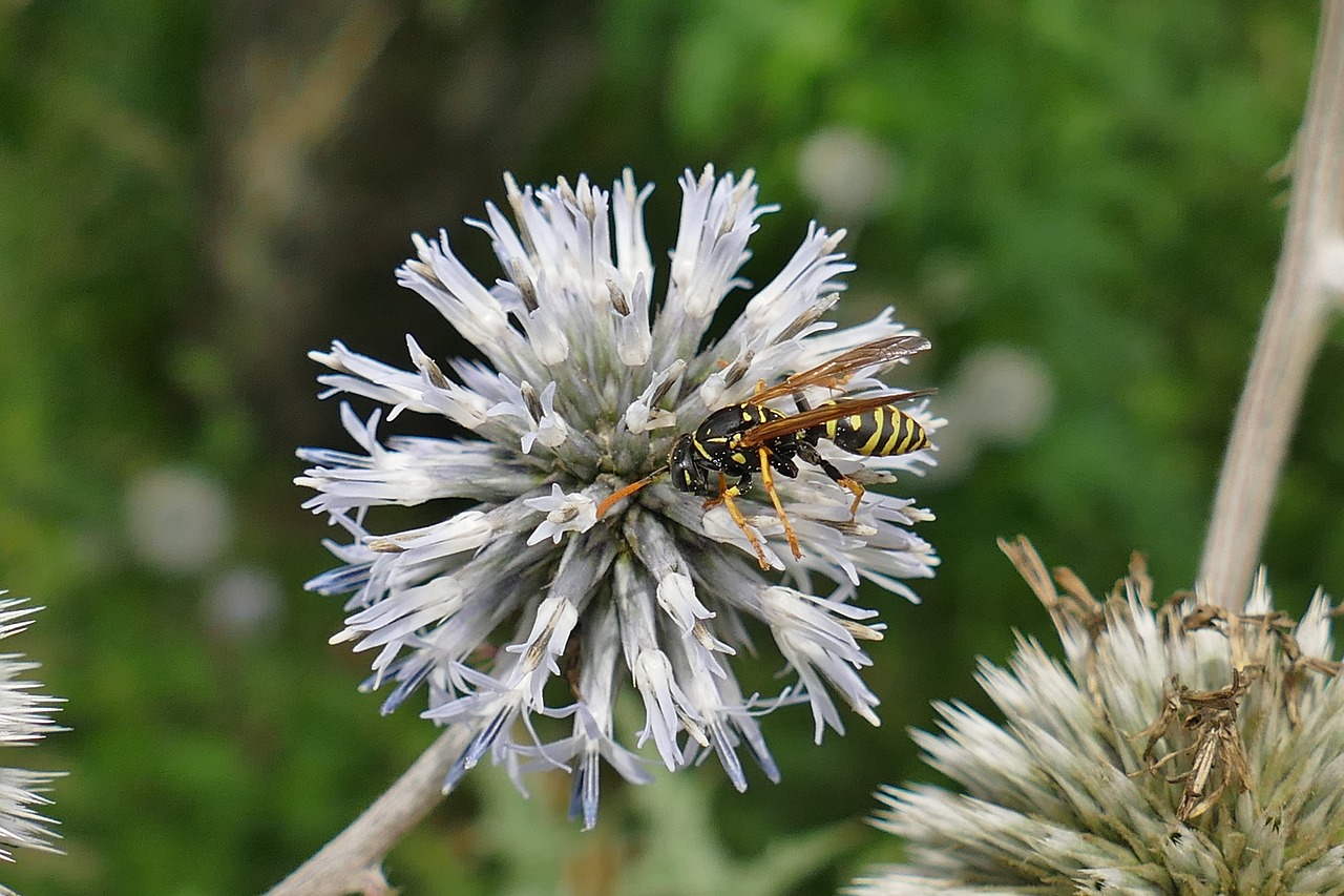 最新早安话,唤醒心灵,美好一天的起点