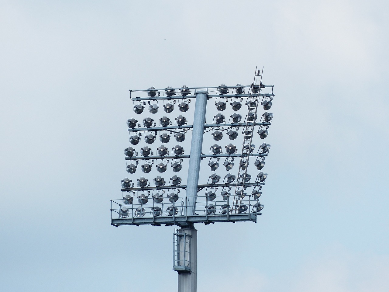 新柳南最新发展动态概览