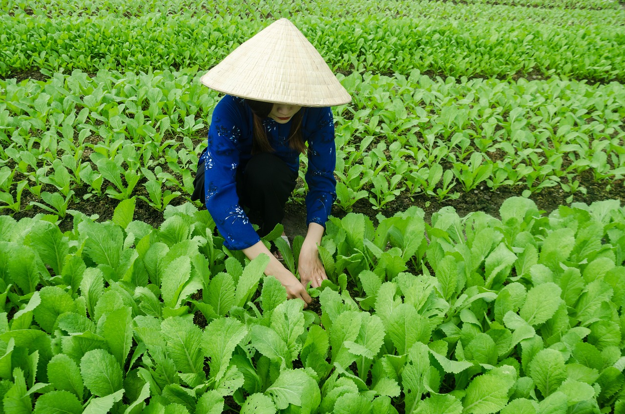 平阳最新发布，引领地区发展的前沿动态风潮