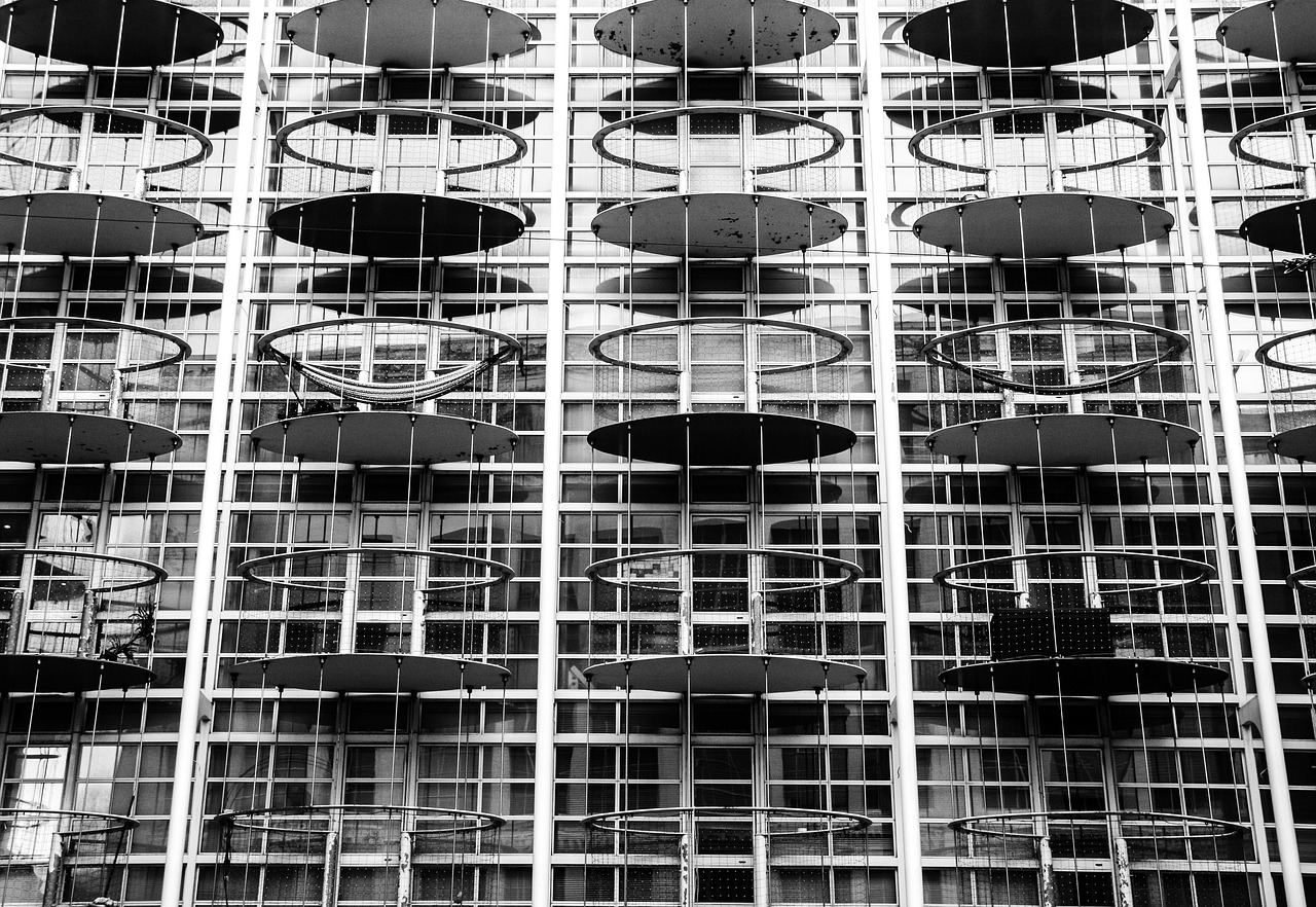 全国葵花价格最新行情分析与趋势预测